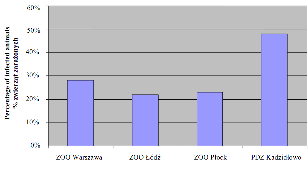 Fig. Extensiveness of parasite infections in four different places Rys.