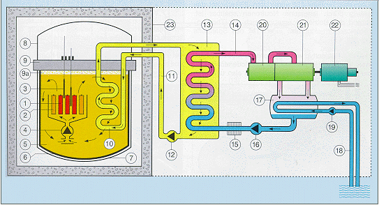 Fig. 9 - Schemat budowy reaktora LMFBR.