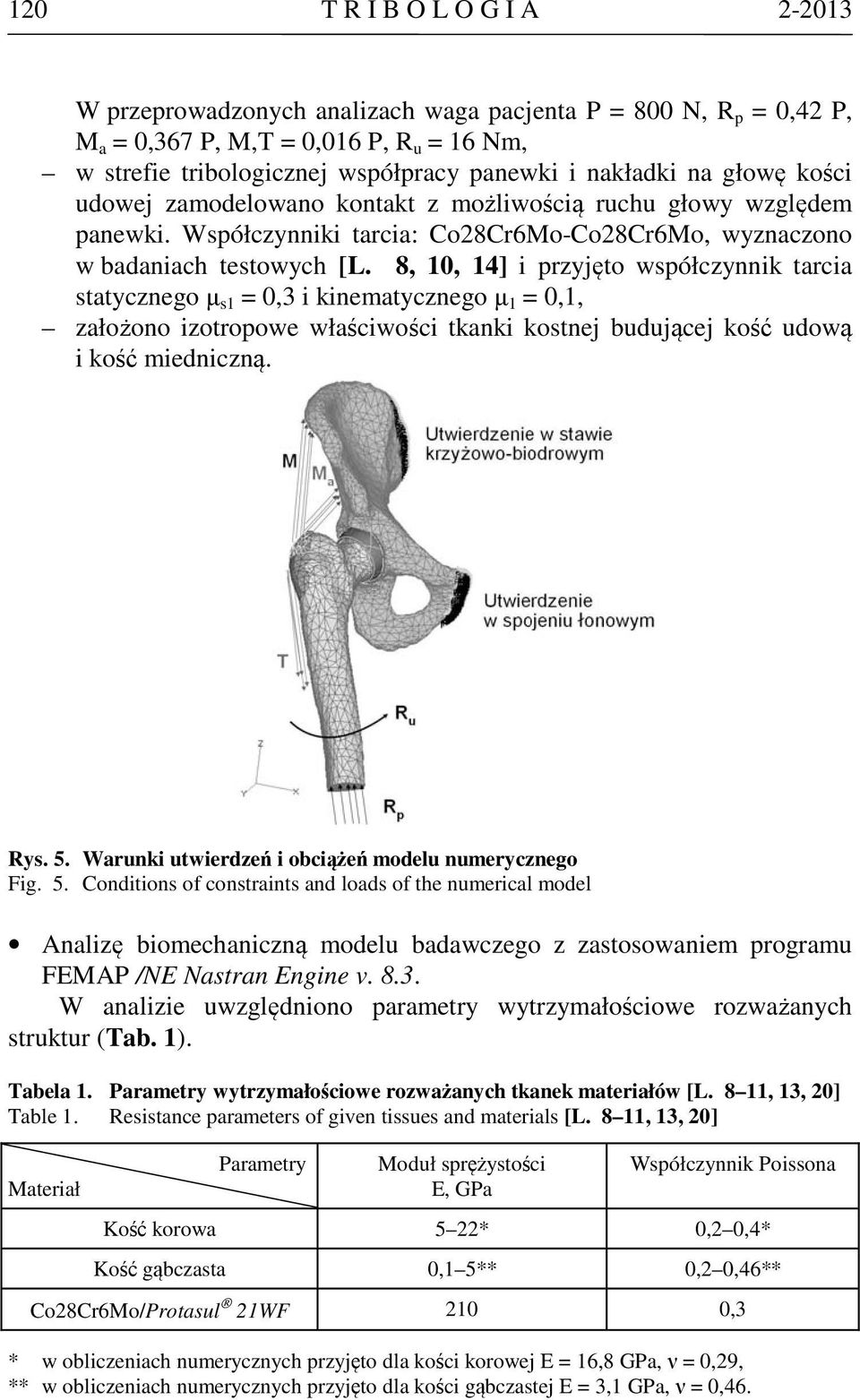 8, 10, 14] i przyjęto współczynnik tarcia statycznego µ s1 = 0,3 i kinematycznego µ 1 = 0,1, założono izotropowe właściwości tkanki kostnej budującej kość udową i kość miedniczną. Rys. 5.
