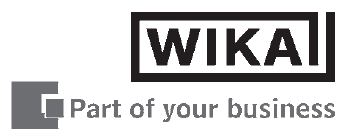 de Przetwornik ciśnienia WIKA Alexander Wiegand GmbH & Co.