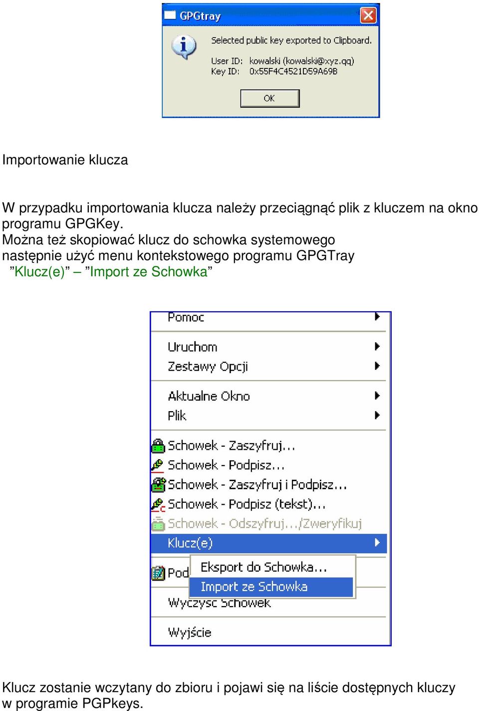 Można też skopiować klucz do schowka systemowego następnie użyć menu kontekstowego