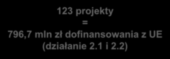 8,6 mln zł Rozwój e-usług publicznych w latach 2007-2013 24,1 mln zł 677,3 mln zł 4 12 11 123 projekty = 796,7 mln zł