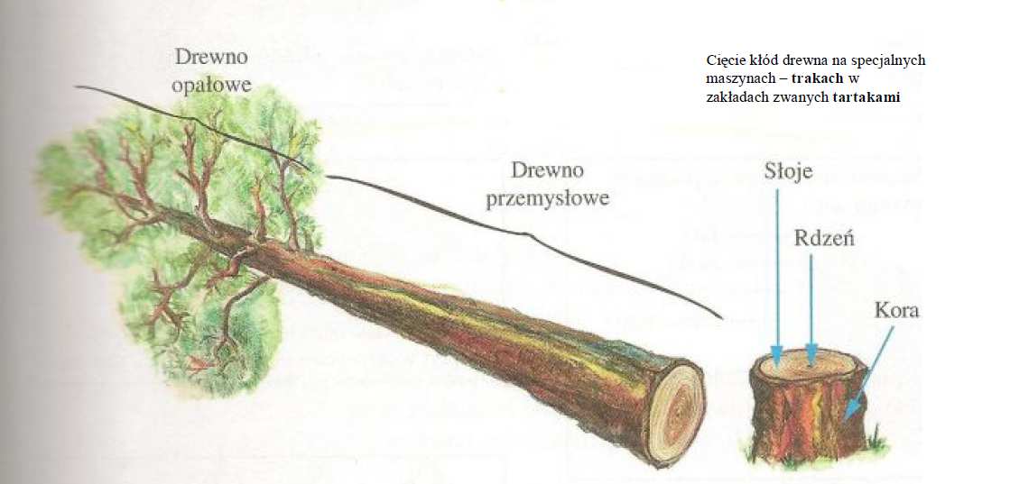 Drewno i materiały drewnopochodne POLLYTAG lekkie kruszywo dla budownictwa drogowego i mostowego W Europie znane i szeroko stosowane w budownictwie konstrukcyjnym kruszywo Lytag produkowane jest od
