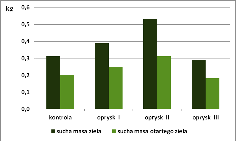 MIĘTA PIEPRZOWA Tabela 10. Wybrane cechy morfologiczne mięty pieprzowej. Badane cechy kontrola oprysk I oprysk II oprysk III wysokość roślin (cm) 44,6 47,3 49,8 44,3 liczba pędów głównych (szt.