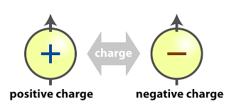Parzystość C Sprzężenie ładunkowe, zmienia znak ładunku i momentu magnetycznego (zależy od ładunku) na przeciwny. Spin bez zmiany.
