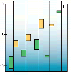 (zostera)