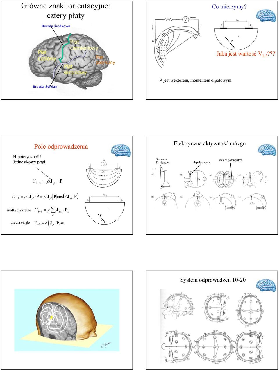jest wartość V 1-??? Pole odprowadzenia Elektryczna aktywność mózgu Hipotetyczne!