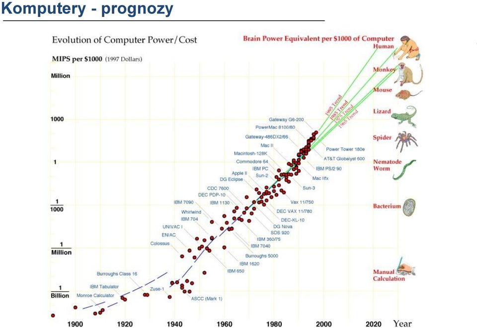 prognozy