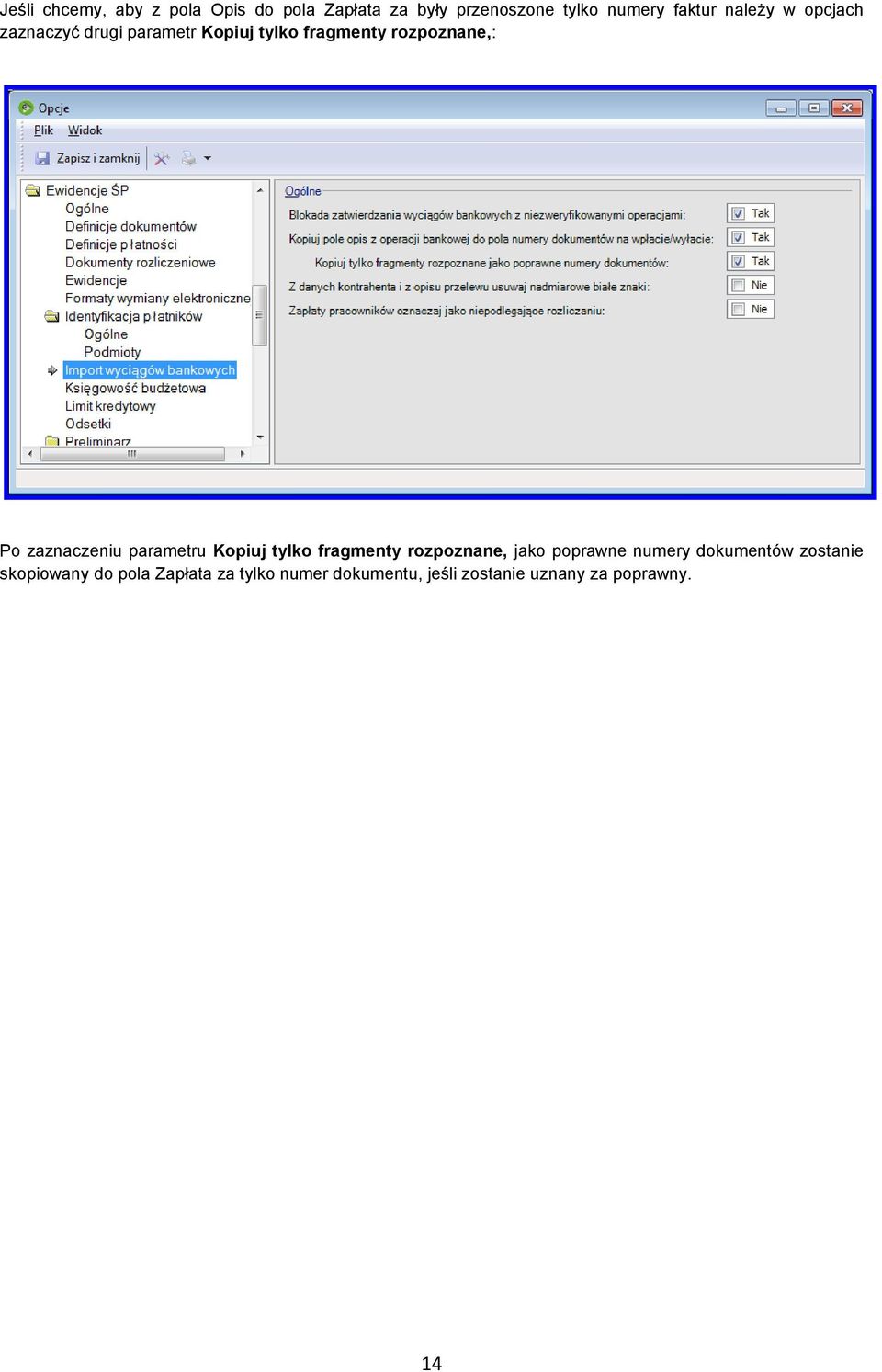 zaznaczeniu parametru Kopiuj tylko fragmenty rozpoznane, jako poprawne numery dokumentów