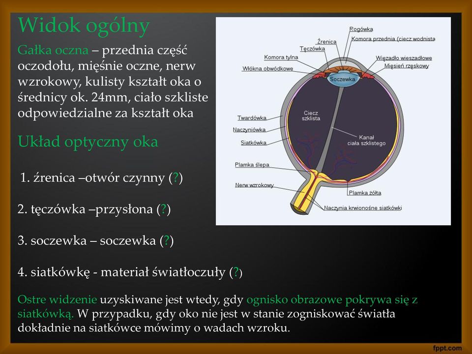 ) 3. soczewka soczewka (?) 4. siatkówkę - materiał światłoczuły (?