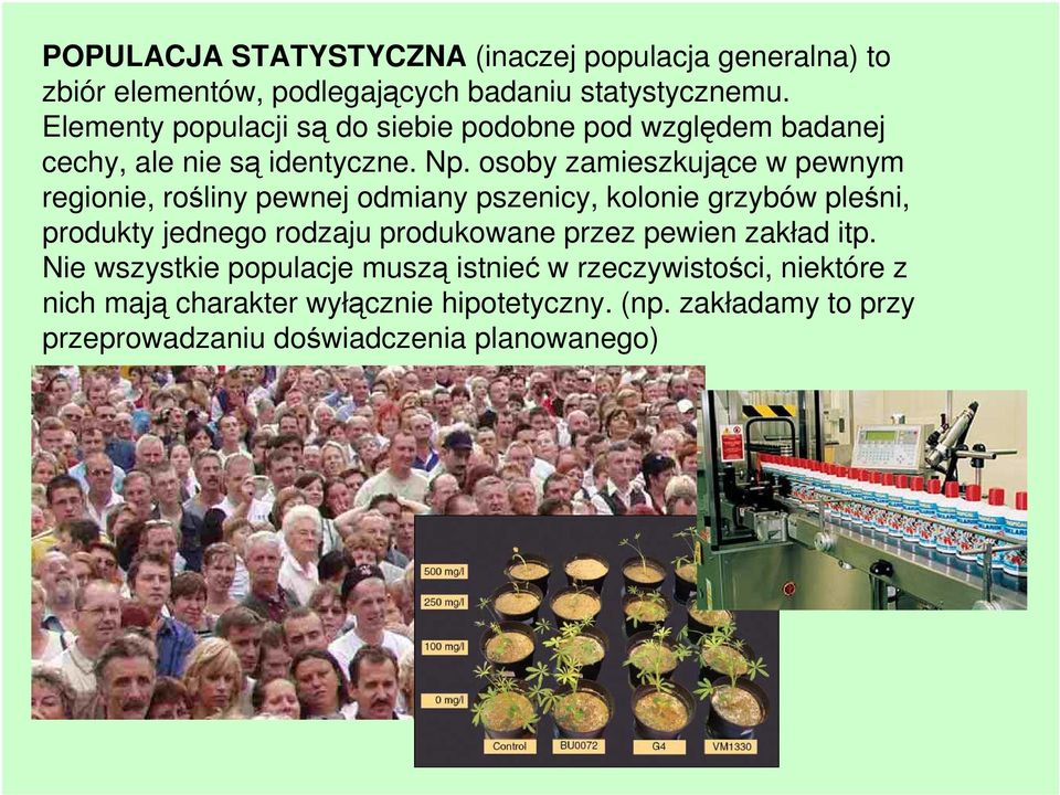 osoby zamieszkujące w pewnym regionie, rośliny pewnej odmiany pszenicy, kolonie grzybów pleśni, produkty jednego rodzaju produkowane