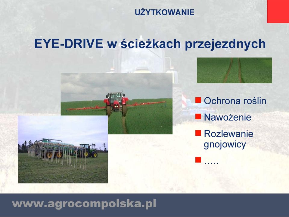 Ochrona roślin