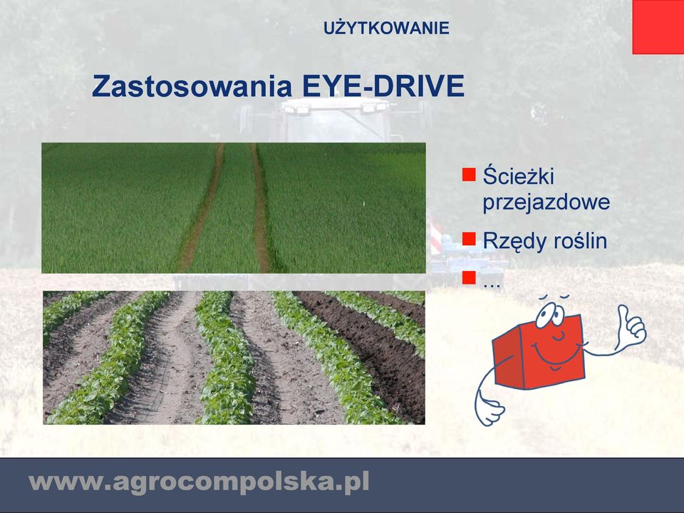 EYE-DRIVE Ścieżki