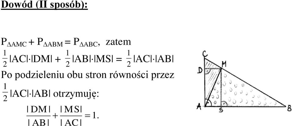 Po podzieleniu obu stron równości