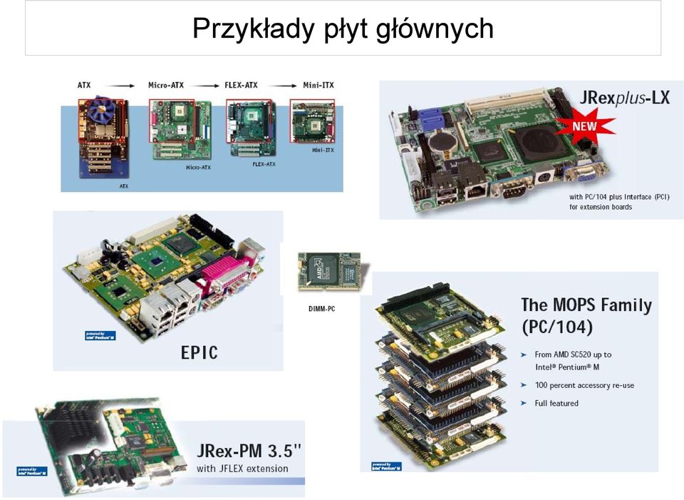 głównych
