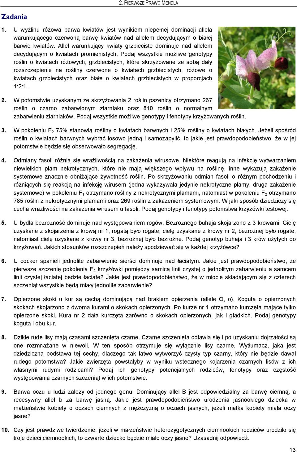 Podaj wszystkie możliwe genotypy roślin o kwiatach różowych, grzbiecistych, które skrzyżowane ze sobą dały rozszczepienie na rośliny czerwone o kwiatach grzbiecistych, różowe o kwiatach grzbiecistych