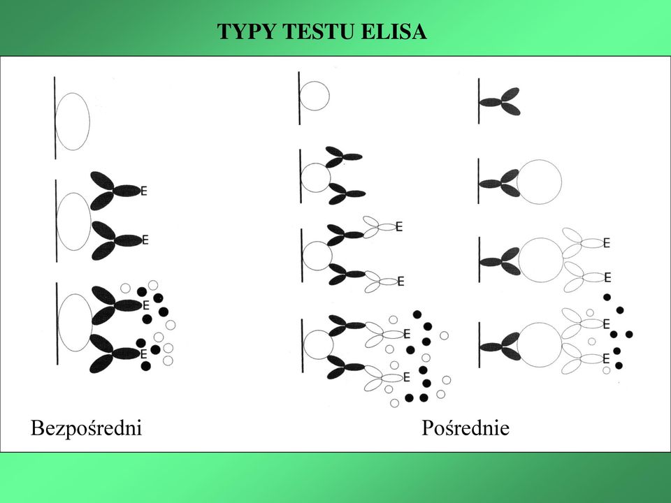 ELISA