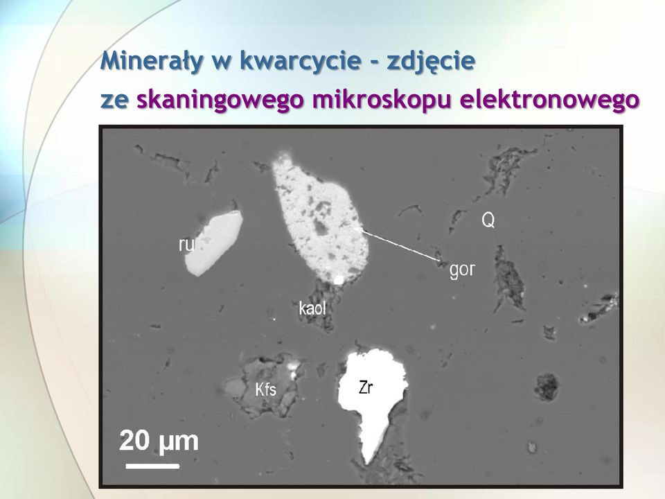 zdjęcie ze