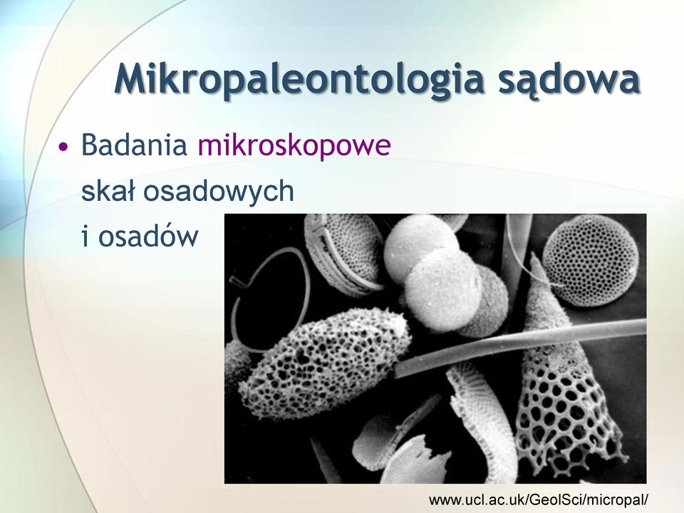 osadowych i osadów www.