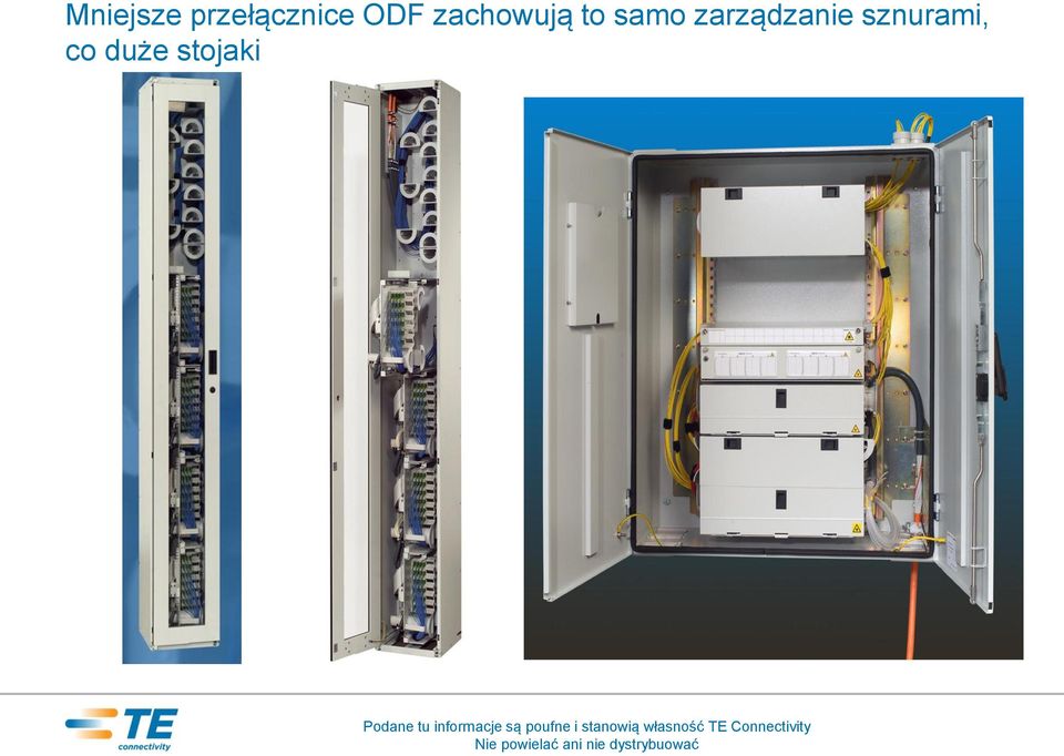 zachowują to samo