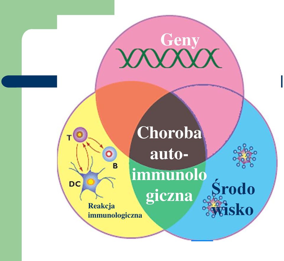 Choroba auto-