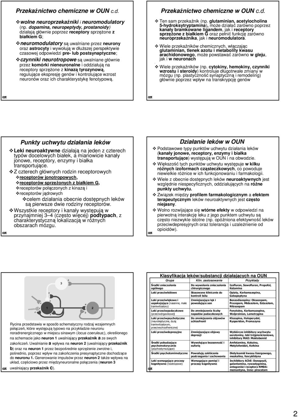 odpowiedzi pre- lub postsynaptyczne; czynniki neurotropowe są uwalniane głównie przez komórki nieneuronalne i oddziałują na receptory sprzęŝone z kinazą tyrozynową, regulujące ekspresję genów i