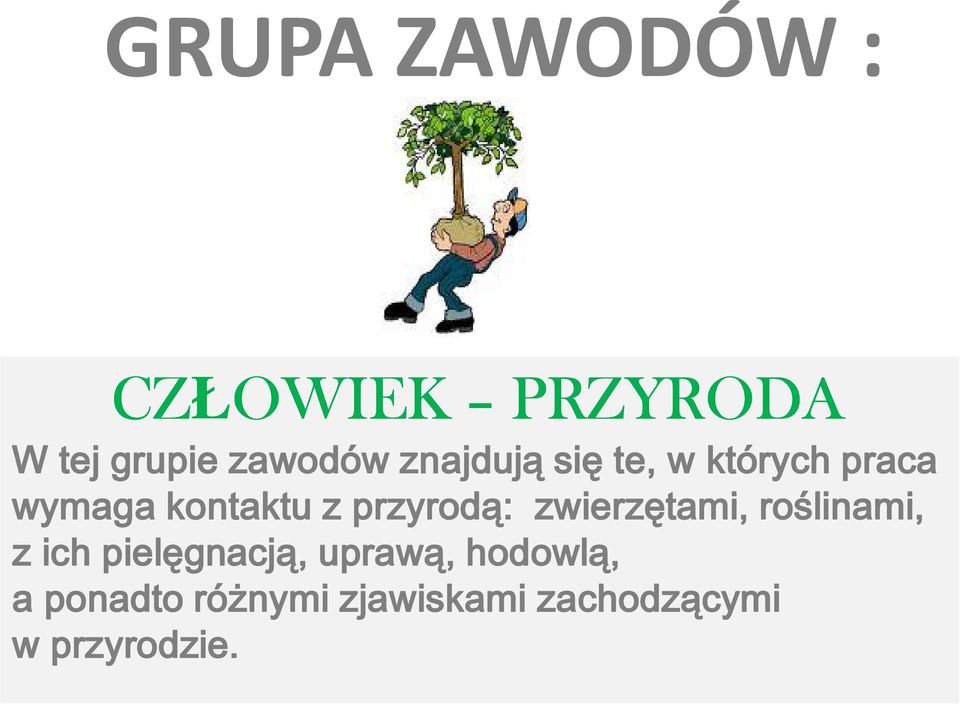 przyrodą: zwierzętami, roślinami, z ich pielęgnacją,