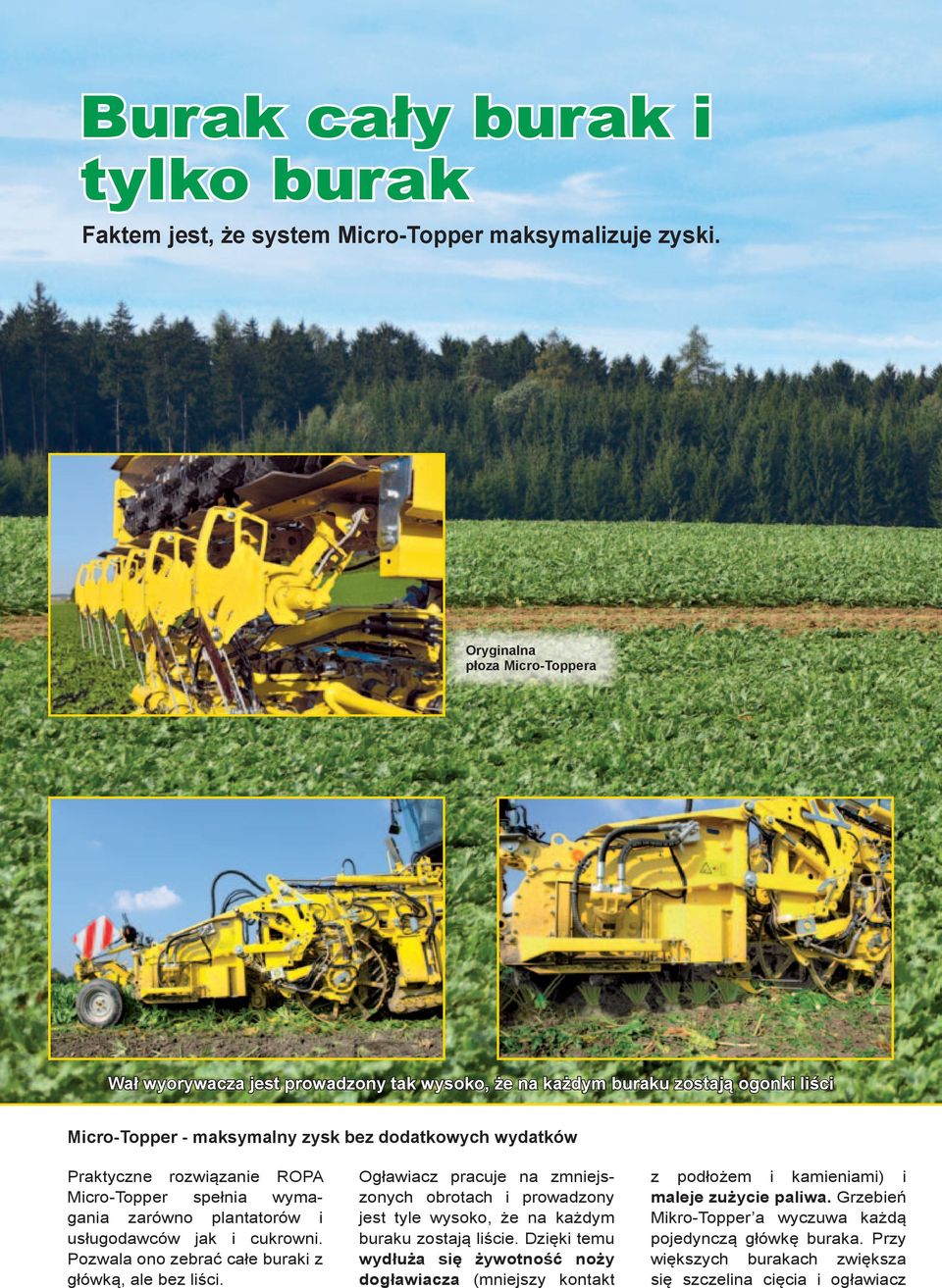 ROPA Micro-Topper spełnia wymagania zarówno plantatorów i usługodawców jak i cukrowni. Pozwala ono zebrać całe buraki z główką, ale bez liści.