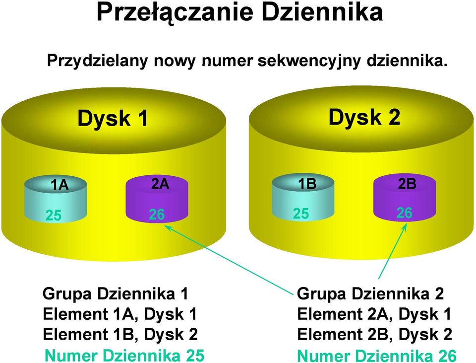 Dysk 1 Dysk 2 1A 2A 1B 2B 25 26 25 26 Grupa Dziennika 1 Element