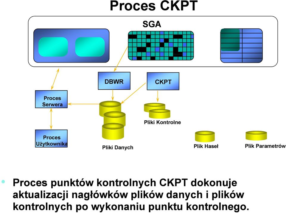 Proces punktów kontrolnych CKPT dokonuje aktualizacji