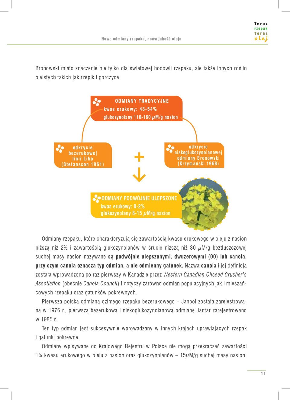 PODWÓJNIE ULEPSZONE kwas erukowy: 0-2% glukozynolany 8-15 μm/g nasion Odmiany rzepaku, które charakteryzują się zawartością kwasu erukowego w oleju z nasion niższą niż 2% i zawartością glukozynolanów