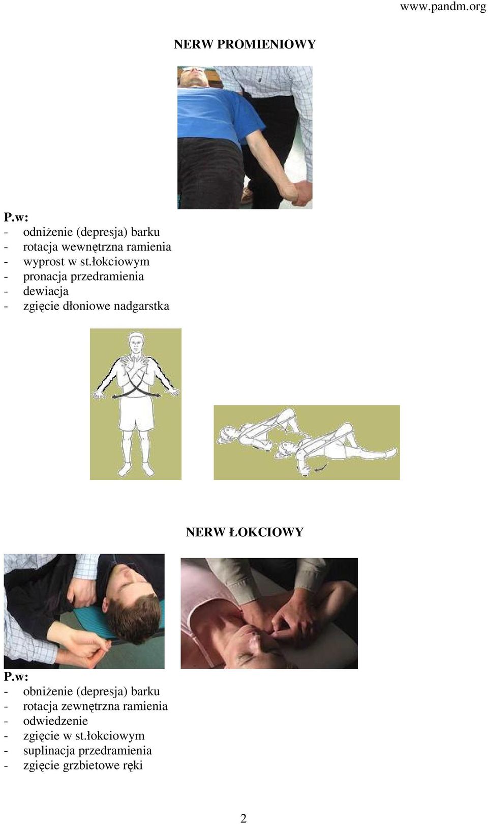 łokciowym - pronacja przedramienia - dewiacja - zgięcie dłoniowe nadgarstka NERW