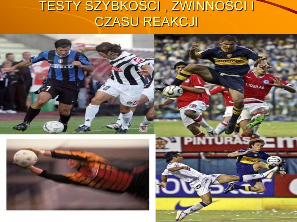 ZWINNOŚCI