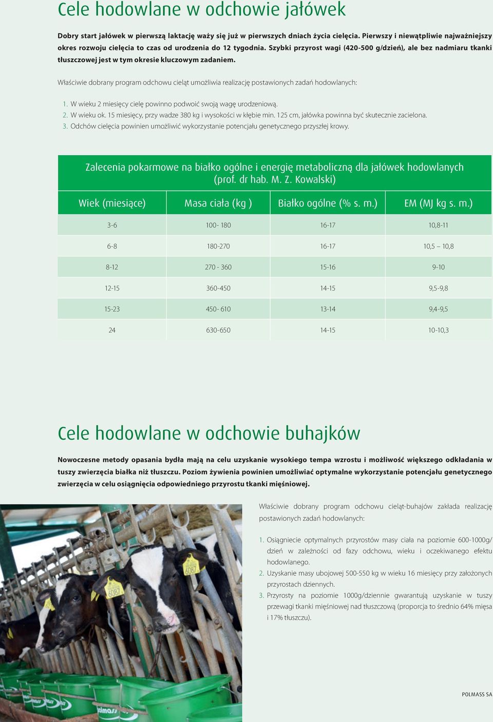 Szybki przyrost wagi (420-500 g/dzień), ale bez nadmiaru tkanki tłuszczowej jest w tym okresie kluczowym zadaniem.