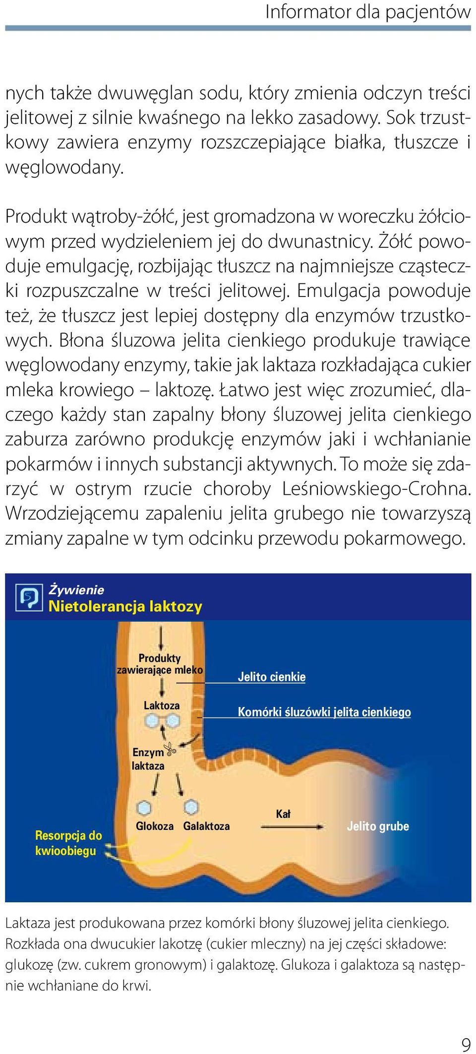 Żółć powoduje emulgację, rozbijając tłuszcz na najmniejsze cząsteczki rozpuszczalne w treści jelitowej. Emulgacja powoduje też, że tłuszcz jest lepiej dostępny dla enzymów trzustkowych.