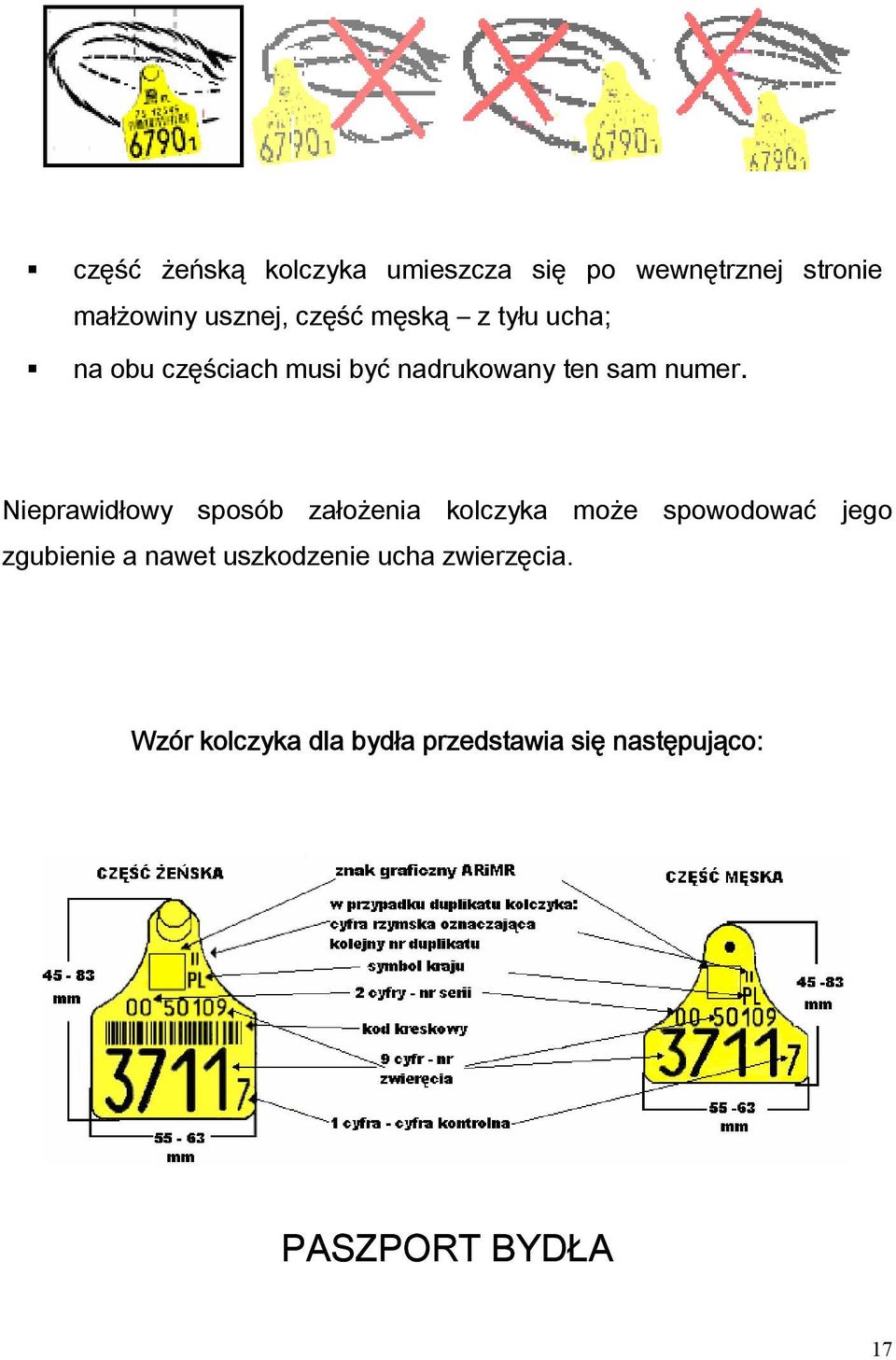 Nieprawidłowy sposób założenia kolczyka może spowodować jego zgubienie a nawet