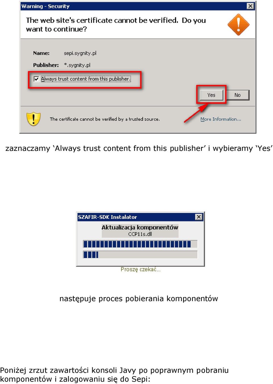 komponentów Poniżej zrzut zawartości konsoli Javy