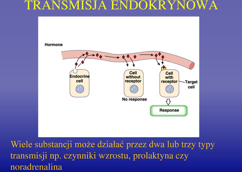 lub trzy typy transmisji np.