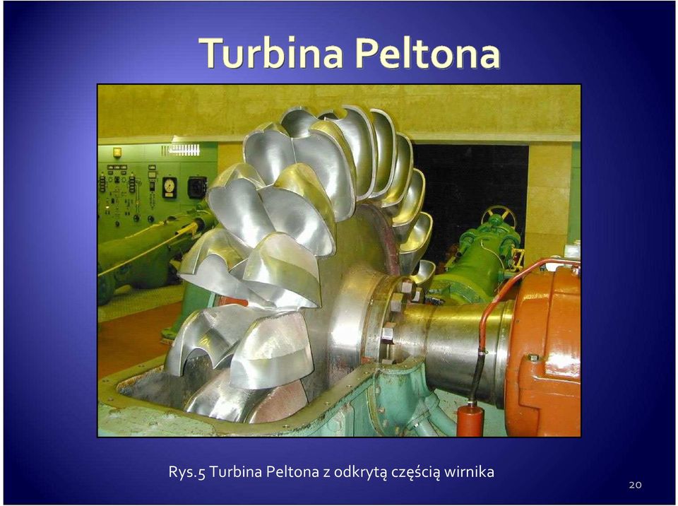 Peltona z