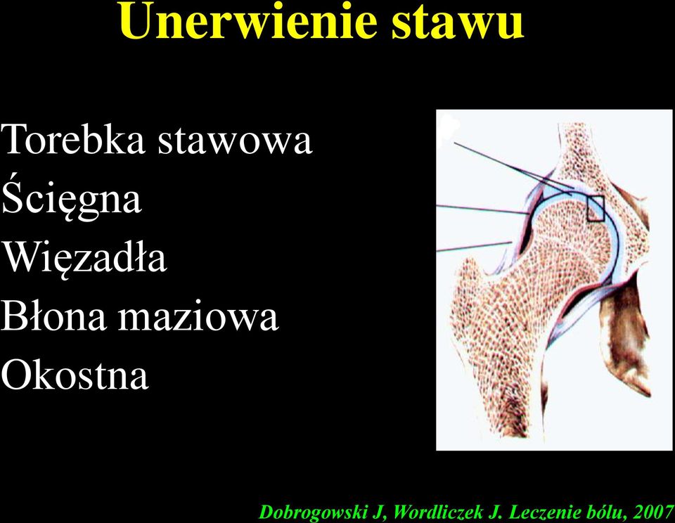 Błona maziowa Okostna