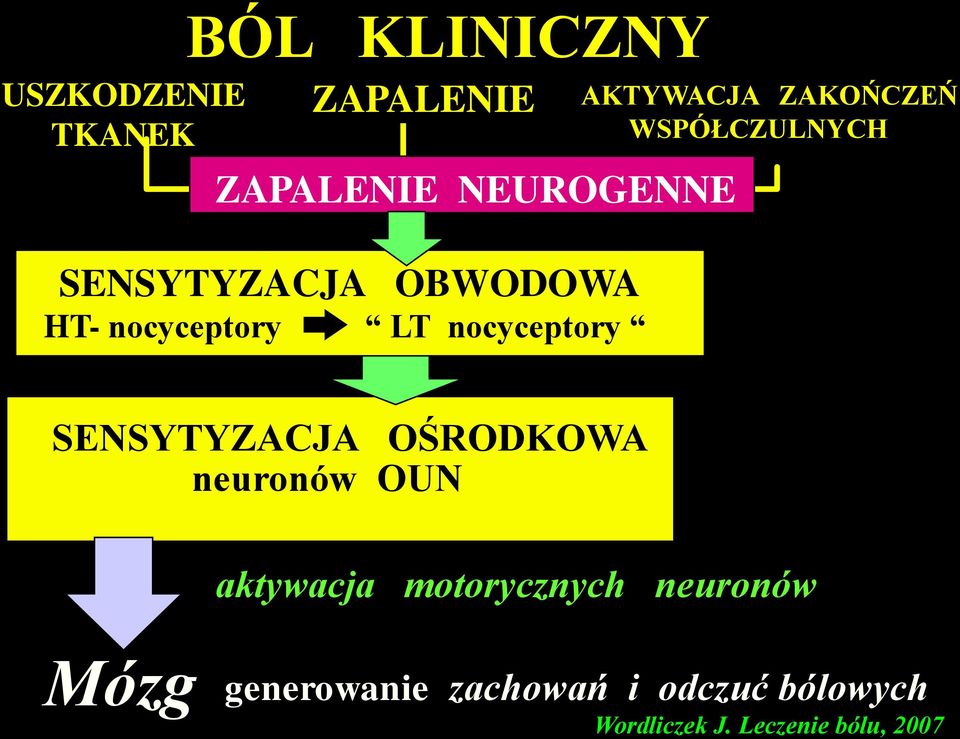 WSPÓŁCZULNYCH SENSYTYZACJA OŚRODKOWA neuronów OUN aktywacja motorycznych