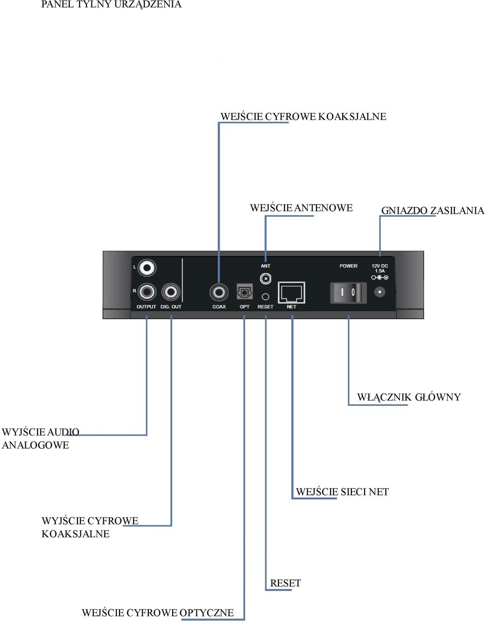 GŁÓWNY WYJŚCIE AUDIO ANALOGOWE WEJŚCIE SIECI NET