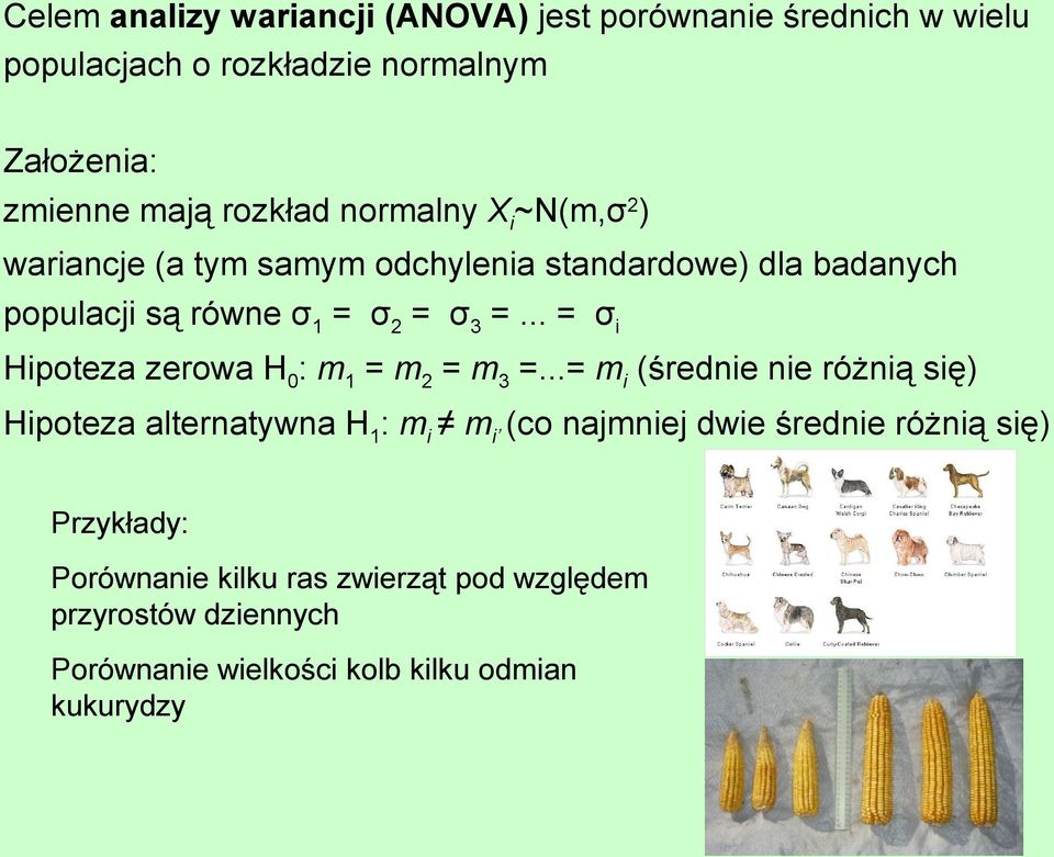 .. = σ i Hipoteza zerowa H 0 : m 1 = m = m 3 =.
