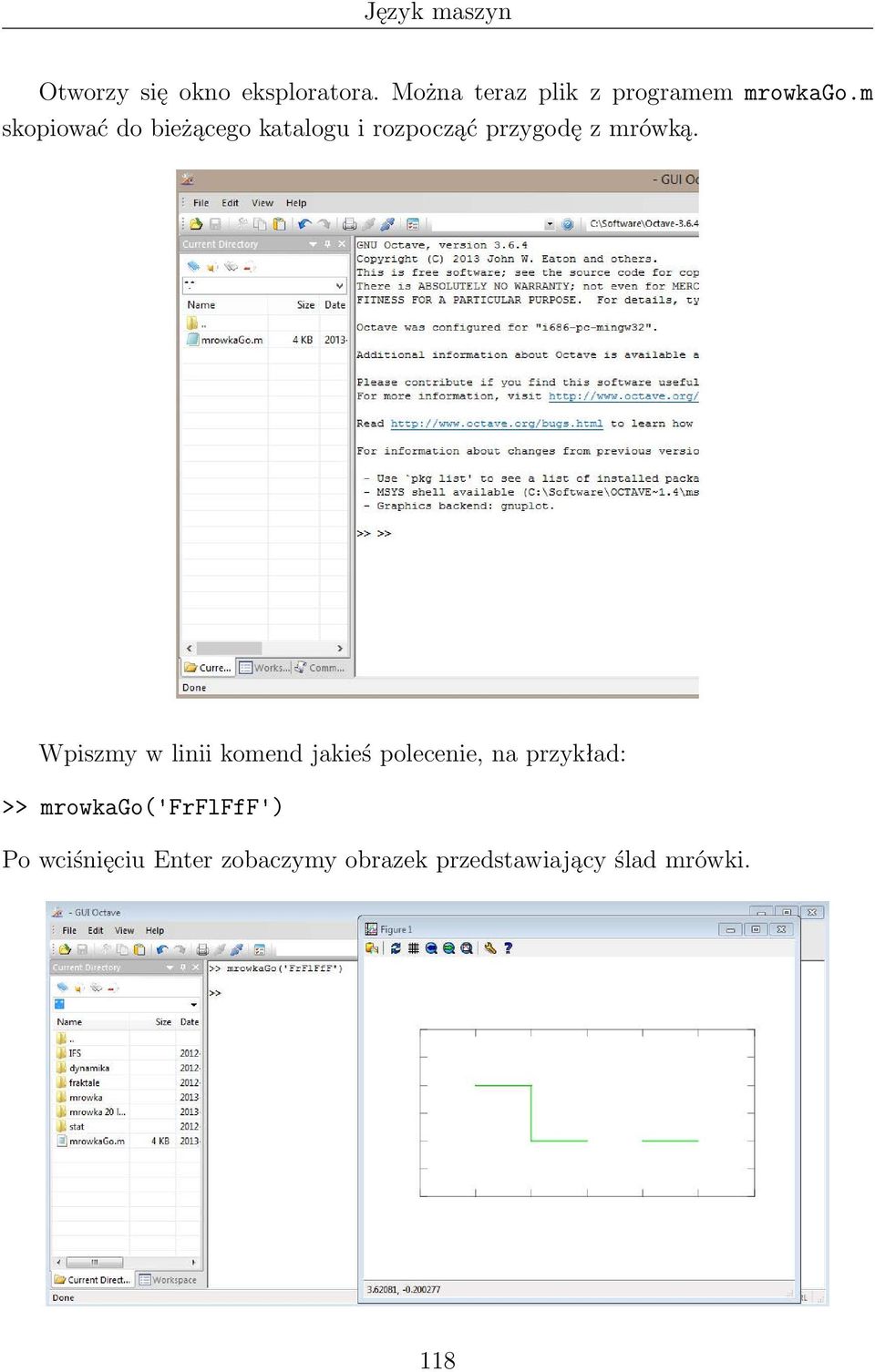 Wpiszmy w linii komend jakieś polecenie, na przykład: >> mrowkago(