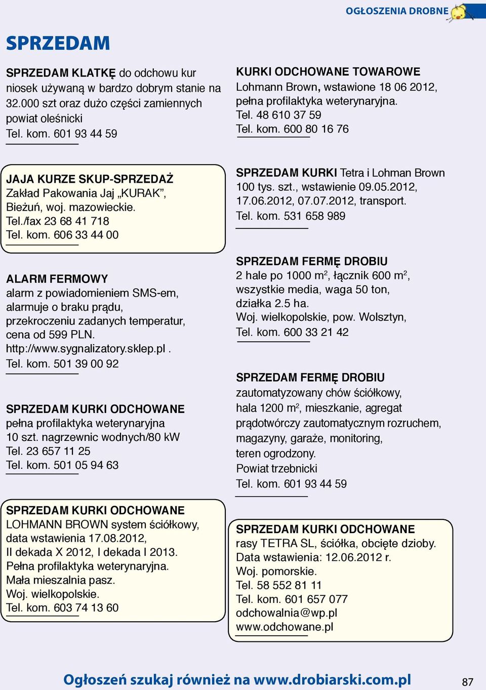 600 80 16 76 JAJA KURZE SKUP-SPRZEDAŻ Zakład Pakowania Jaj KURAK, Bieżuń, woj. mazowieckie. Tel./fax 23 68 41 718 Tel. kom.