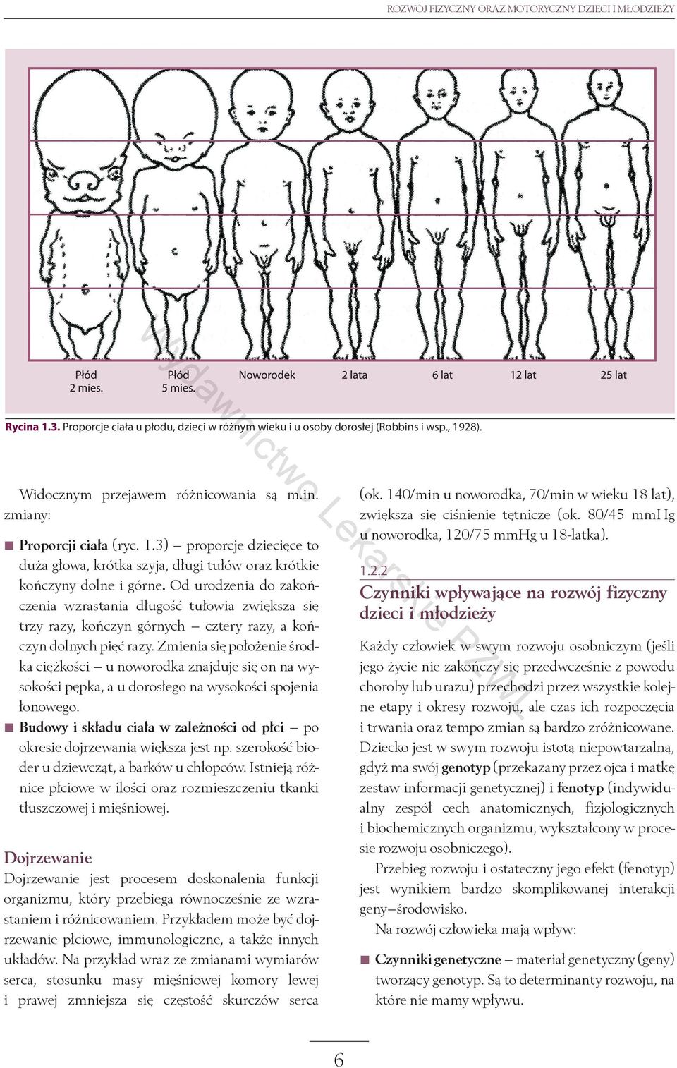 /75 mmhg u 18-latka). o Widocznym przejawem różnicowania są m.in. zmiany: ka Le 1.2.