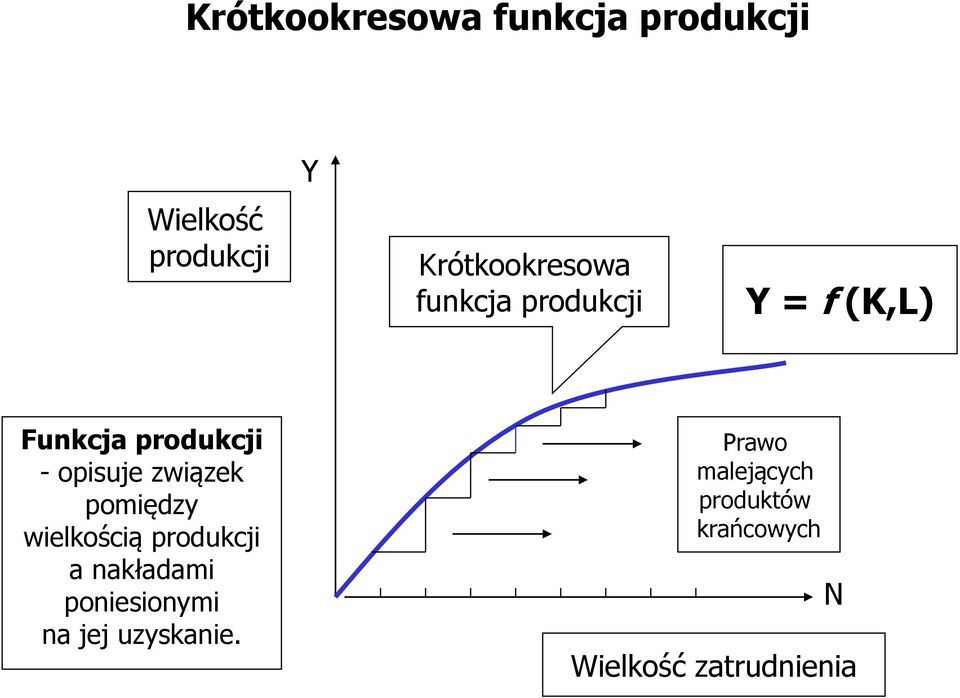 opisuje związek pomiędzy wielkością produkcji a nakładami