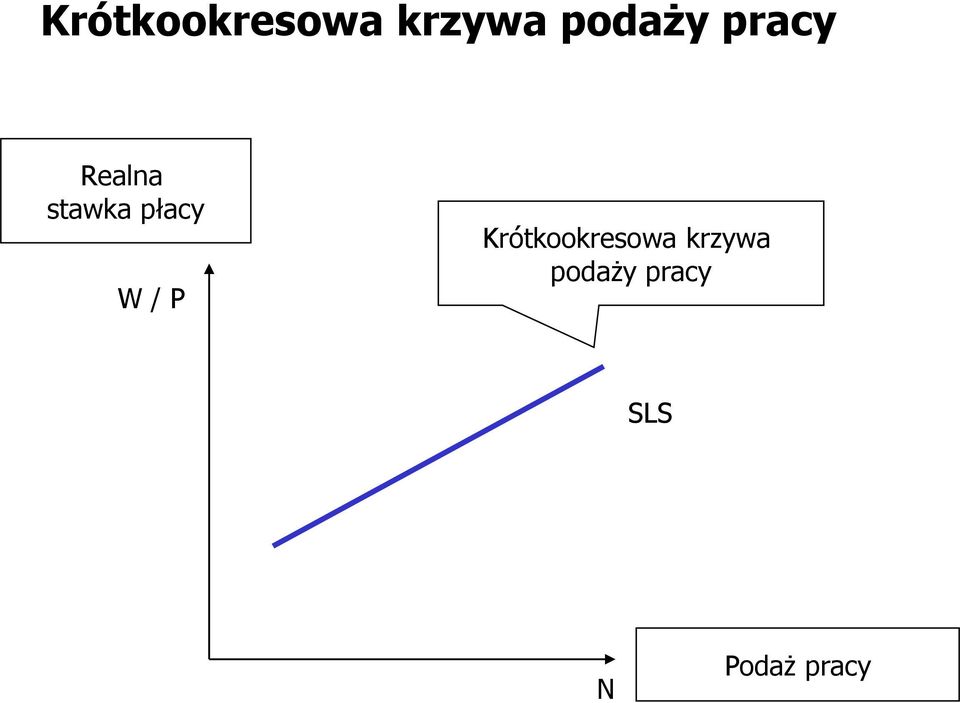 / P  pracy SLS N Podaż pracy