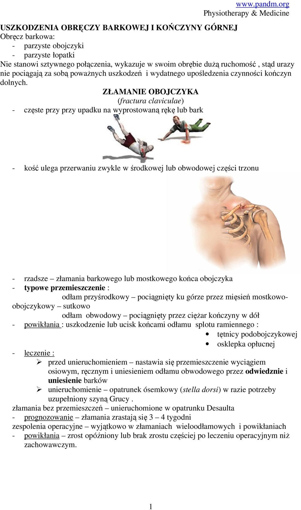 ZŁAMANIE OBOJCZYKA (fractura claviculae) - częste przy przy upadku na wyprostowaną rękę lub bark - kość ulega przerwaniu zwykle w środkowej lub obwodowej części trzonu - rzadsze złamania barkowego