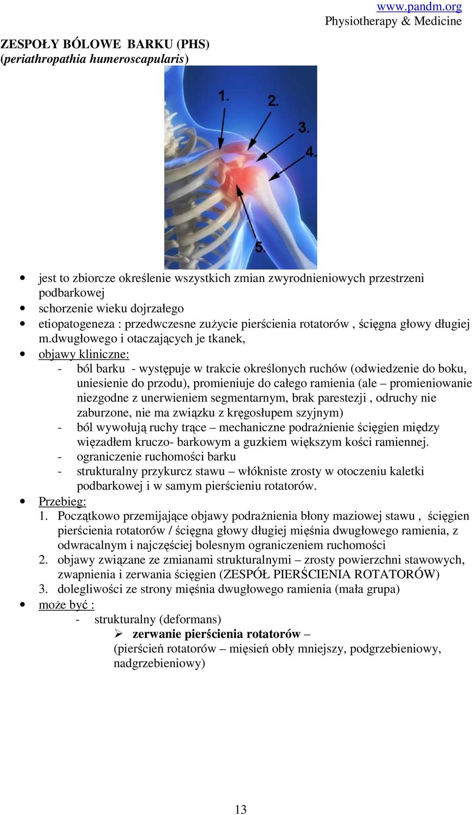 dwugłowego i otaczających je tkanek, objawy kliniczne: - ból barku - występuje w trakcie określonych ruchów (odwiedzenie do boku, uniesienie do przodu), promieniuje do całego ramienia (ale